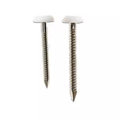 Buy 50mm x 28mm Stainless Flat Head Nails Per kg Online
